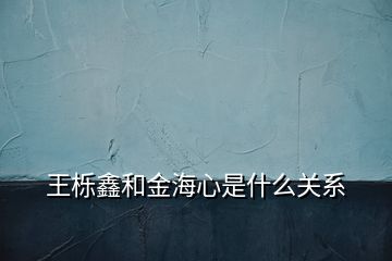 王櫟鑫和金海心是什么關(guān)系