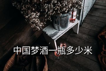 中國夢酒一瓶多少米