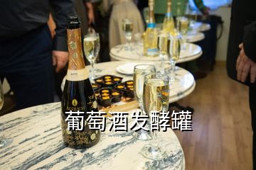 葡萄酒發(fā)酵罐