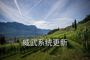 威武系統(tǒng)更新