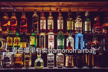 青島哪里有賣(mài)viamonoh airbag