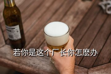 若你是這個(gè)廠長你怎麼辦