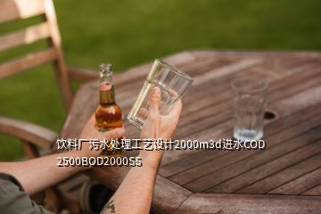 飲料廠污水處理工藝設(shè)計(jì)2000m3d進(jìn)水COD 2500BOD2000SS