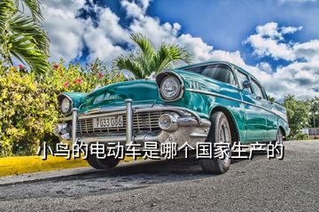 小鳥(niǎo)的電動(dòng)車是哪個(gè)國(guó)家生產(chǎn)的