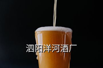 泗陽(yáng)洋河酒廠