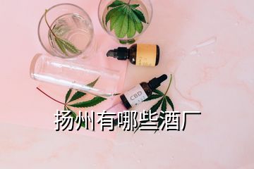 揚(yáng)州有哪些酒廠