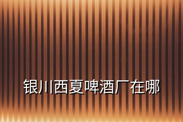 銀川西夏啤酒廠在哪