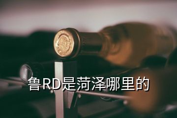 魯RD是菏澤哪里的