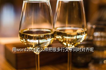 用word2003怎么樣把很多行文字同時對齊呢