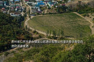 貴州省仁懷市茅臺鎮(zhèn)吳公巖酒業(yè)有限公司漫天香濃香型白酒財(cái)源滾滾酒