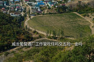 威龍葡萄酒廠工作管吃住嗎交五險一金嗎