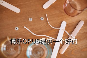 博樂(lè)OPUS提供一個(gè)好的