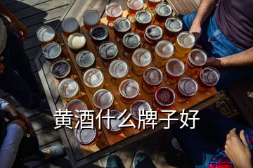 黃酒什么牌子好