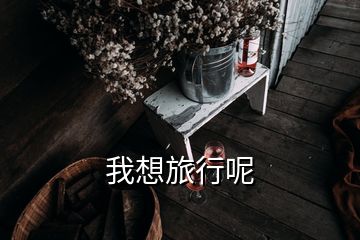 我想旅行呢