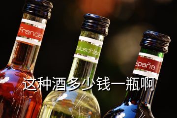 這種酒多少錢(qián)一瓶啊