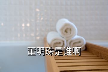 董明珠是誰(shuí)啊