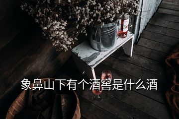 象鼻山下有個(gè)酒窖是什么酒