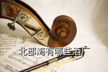 北部灣有哪些酒廠