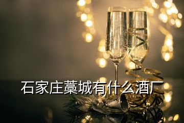 石家莊藁城有什么酒廠(chǎng)