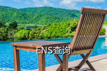 ENS查詢