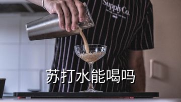 蘇打水能喝嗎