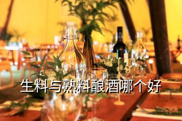 生料與熟料釀酒哪個(gè)好