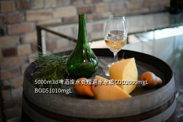 5000m3d啤酒廢水處理進水水質(zhì)COD2000mgL BOD51010mgL