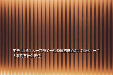 中午我們5個(gè)人一共喝了一瓶42度的白酒晚上7點(diǎn)死了一個(gè)人我們有什么責(zé)任