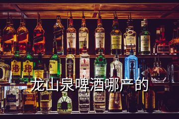 龍山泉啤酒哪產的