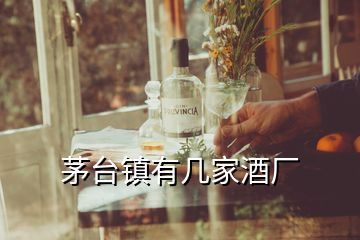 茅臺鎮(zhèn)有幾家酒廠