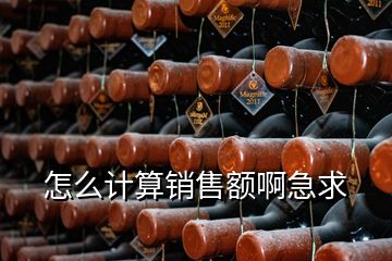 怎么計算銷售額啊急求