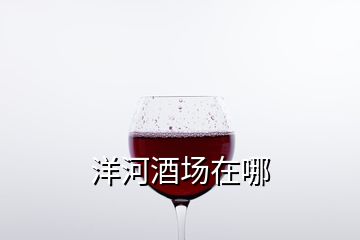 洋河酒場在哪