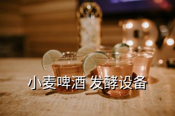 小麥啤酒 發(fā)酵設備