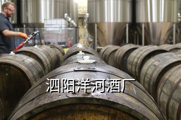 泗陽洋河酒廠