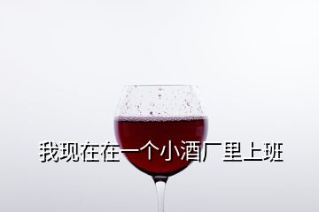 我現(xiàn)在在一個(gè)小酒廠里上班