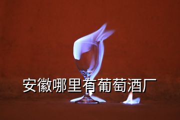 安徽哪里有葡萄酒廠(chǎng)