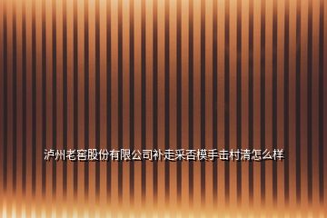 瀘州老窖股份有限公司補走采否模手擊村清怎么樣