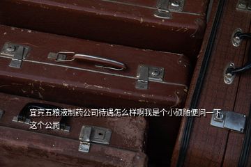 宜賓五糧液制藥公司待遇怎么樣啊我是個小碩隨便問一下這個公司