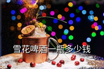 雪花啤酒一瓶多少錢