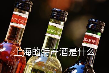 上海的特產(chǎn)酒是什么