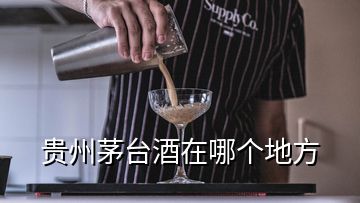 貴州茅臺酒在哪個地方