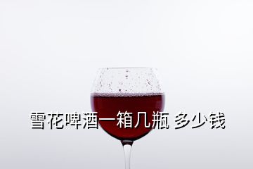 雪花啤酒一箱幾瓶 多少錢