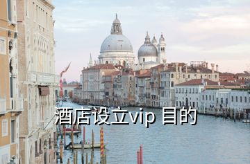 酒店設立vip 目的