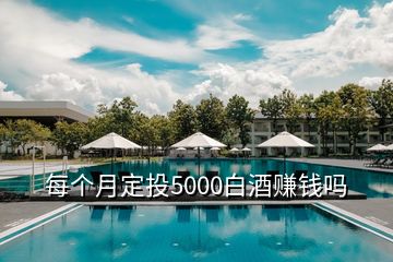 每個月定投5000白酒賺錢嗎