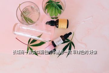 長城有一款類似面包的車是哪一款 軍綠色的 好像