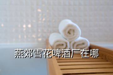 燕郊雪花啤酒廠在哪