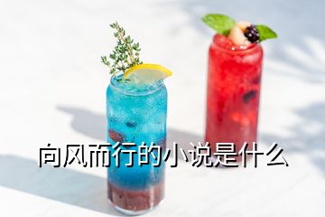 向風而行的小說是什么