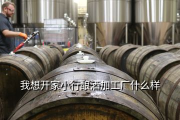 我想開(kāi)家小行釀酒加工廠什么樣