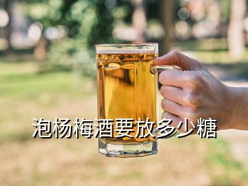 泡楊梅酒要放多少糖