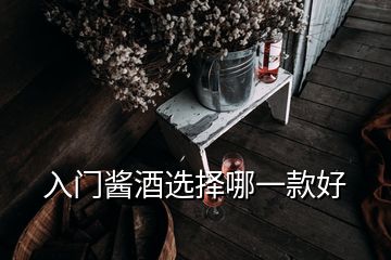 入門(mén)醬酒選擇哪一款好